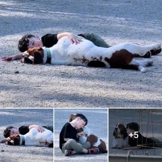 TN Little Boy Becomes Best Friend With A Random Basset Hound At The Dog Park