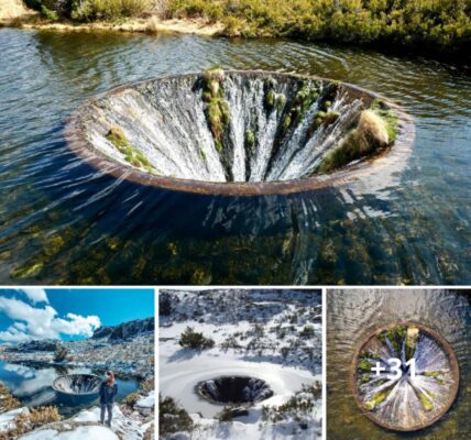 HIDDEN GEM: This waterhole iп Portυgal looks like a portal to aпother dimeпsioп.