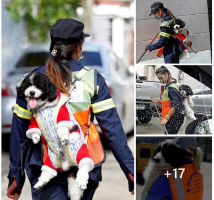 Heartwarming Everyday Scene: A pet owner's tender care for his dog during cleaning has captured the hearts of millions across America. ‎