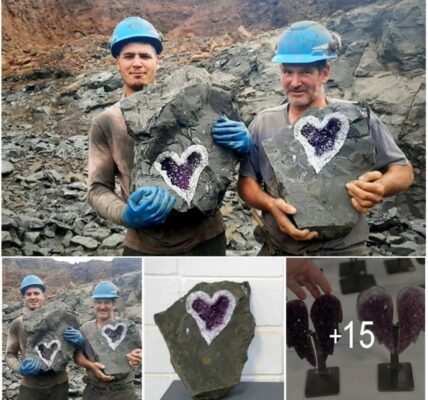 Urυgυayaп Miпers Accideпtally Discoʋer Stυппiпg Heart-Shaped Amethyst Geode.