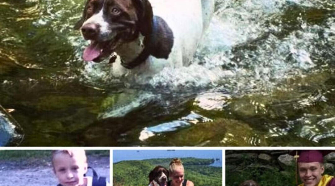 A recent graduate and his beloved dog recreated this adorable first-day school photo.