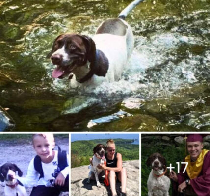 A recent graduate and his beloved dog recreated this adorable first-day school photo.