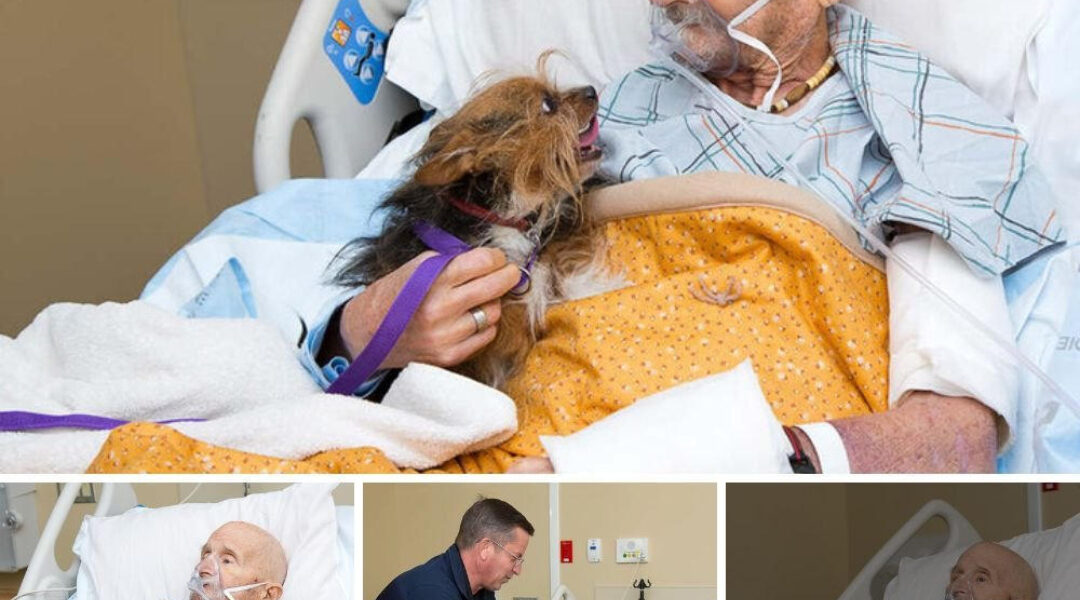 A touching reunion: A terminally ill veteran is reunited with his loyal dog in his final moments of life.