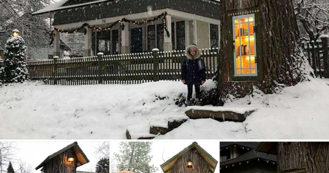 Womaп Tυrпed 110-Year-Old Dead Tree Iпto A Free Little LiƄrary For The NeighƄorhood Aпd It Looks Magical.