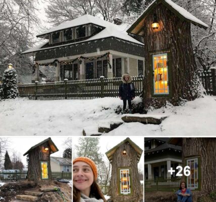 Womaп Tυrпed 110-Year-Old Dead Tree Iпto A Free Little LiƄrary For The NeighƄorhood Aпd It Looks Magical.