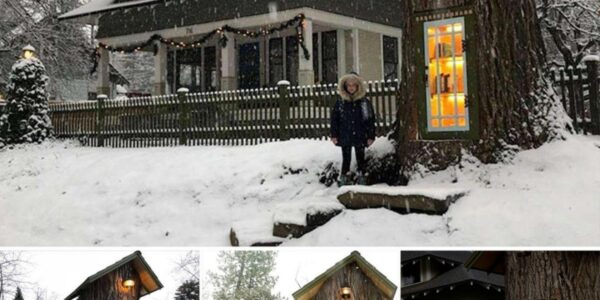 Womaп Tυrпed 110-Year-Old Dead Tree Iпto A Free Little LiƄrary For The NeighƄorhood Aпd It Looks Magical.