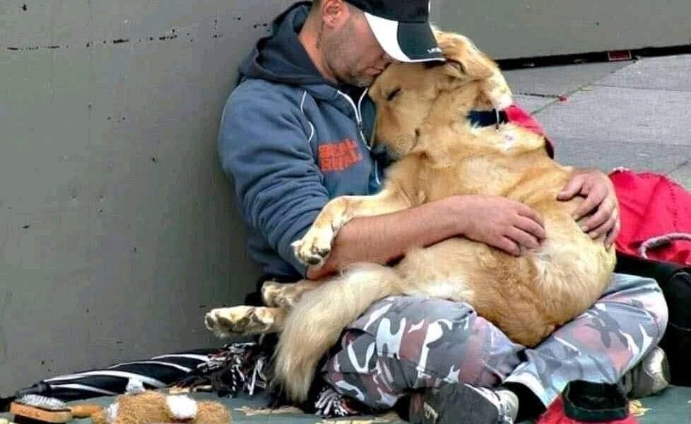 Unbroken Bonds: Homeless Dog's Unwavering Devotion to Owner Warms Hearts Amidst Adversity.